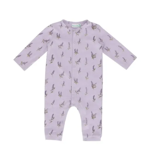 Babylook Lavender Boxpak – Maat 50> Boxpakjes