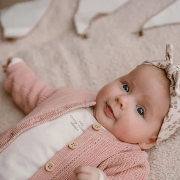 Dirkje Vest Dusty Pink 56> Vestjes
