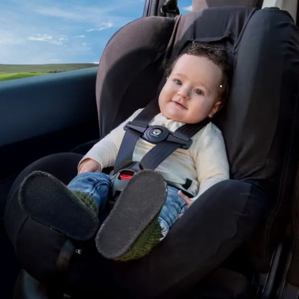 Dooky Seatbelt Safety Clip> Accessoires Autostoel