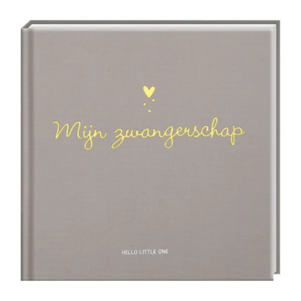 Imagebooks Hello Little One Invulboek Mijn Zwangerschap> Boeken