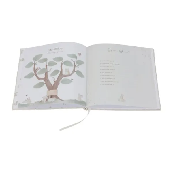 Little Dutch Babyboek 'Mijn eerste jaar' Baby Bunny FSC> Boeken