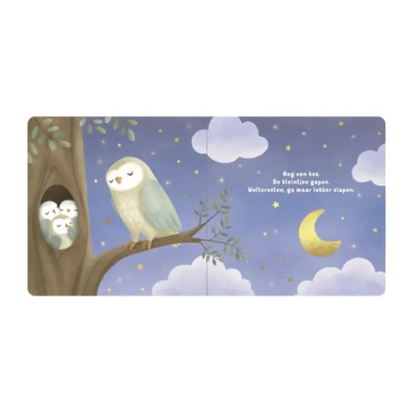 Little Dutch Boekje - Welterusten Kleintje> Boeken