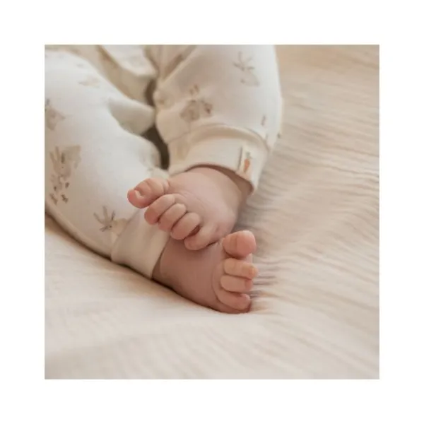 Little Dutch Boxpak Baby Bunny 50> Boxpakjes