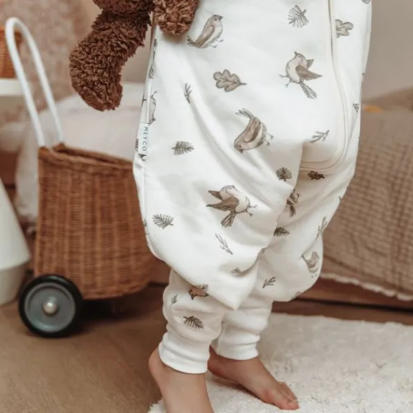 Meyco Baby Slaapzak Jumper Winter Robin Multicolour 92 cm> 4-Seizoenen Slaapzakken|Winter Slaapzakken
