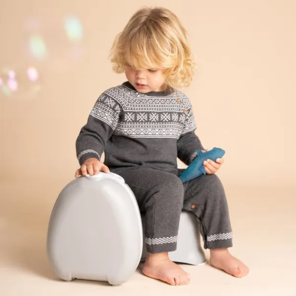 My Carry Potty® My Carry Potty Dino> Potjes En Toilettrainers