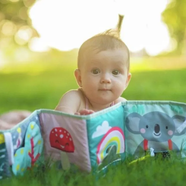 Taf Toys Buggyboekje Koala> Boeken